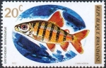 Sellos de Africa - Rwanda -  Fish (1973), Distichodus de seis bandas (Distichodus sexfasciatus)