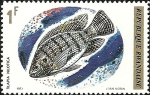 Stamps : Africa : Rwanda :  Pescado (1973), Tilapia del Nilo (Tilapia nilotica)