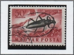 Sellos de Europa - Hungr�a -  Escarabajos