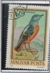 Stamps Hungary -  Tordo d' l' Roca