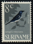 Stamps Suriname -  serie- Pajaros