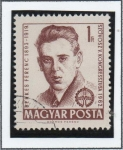 Stamps Hungary -  BerkesFerenc (1893-1919