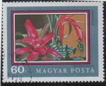 Stamps Hungary -  	Bromelia