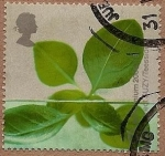 Stamps United Kingdom -  Millennium - Naturaleza - proyecto Suzy