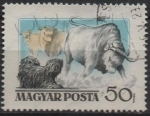 Stamps Hungary -  Puli Perro Pastol