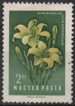 Stamps Hungary -  Lirios