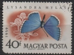 Stamps Hungary -  Mariposas. Lysandra hylas
