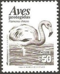 Stamps Chile -  aves protegidas, flamenco chileno