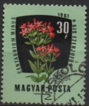 Stamps Hungary -  Flores, Centauro