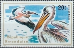Stamps : Africa : Rwanda :  Aves acuáticas, Gran pelícano blanco (Pelecanus onocrotalus)