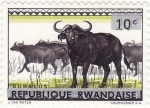 Stamps Rwanda -  Fauna (1964), búfalo africano (Syncerus caffer)