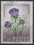 Stamps Hungary -  Tenuifolius Edraianthus