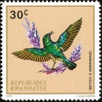 Stamps Rwanda -  Aves Nativas, Sunbird Collared (Hedydipna collaris)