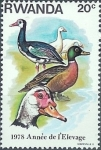 Stamps Rwanda -  Año de cría, ganso doméstico (Anser anser domesticus), pato doméstico