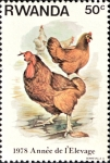 Stamps : Africa : Rwanda :  Año de Cría, Pollo (Gallus gallus domesticus)