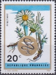 Stamps Rwanda -  Plantas Medicinales, Manzanilla