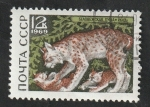 Sellos del Mundo : Europa : Rusia :  3531 - Lynx