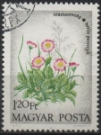 Stamps Cambodia -  Flores: Magaritas