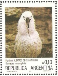 Sellos de America - Argentina -  pichon de albatros de cejas negras