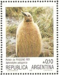 Sellos de America - Argentina -  pichon de pinguino rey