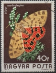 Stamps Hungary -  Mariposas: Rhyparia Purpurata