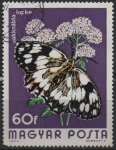 Stamps Hungary -  Melanatha Galathea