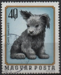 Stamps Hungary -  Cachorro