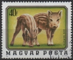 Stamps Hungary -  Animales Jovenes: Jabalies