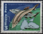Sellos de Europa - Hungra -  Sturgeons y Mapa d' Danube