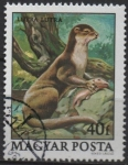 Sellos de Europa - Hungra -  Protecion d' l' Fauna: Nutria