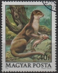 Stamps Hungary -  Protecion d' l' Fauna: Nutria