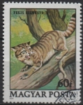 Stamps Hungary -  Protecion d' l' Fauna: Gato Salvaje