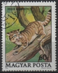 Sellos de Europa - Hungr�a -  Protecion d' l' Fauna: Gato Salvaje
