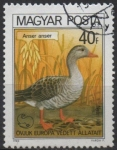 Stamps Hungary -  Ganso d' Graylag