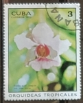 Sellos del Mundo : America : Cuba : Orquideas - Vanda Miss Joaquim var. Rose Marie