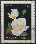 Sellos de Europa - Hungra -  Rosas. Pascali
