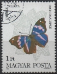 Stamps Hungary -  Mariposas, Epiphille dilecta