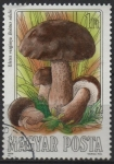 Stamps Hungary -  Setas comestibles: Boletus Edulis