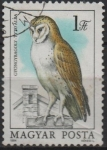 Stamps Hungary -  Buhos: Tyto alba