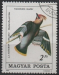 Stamps Hungary -  Colaptes cafer