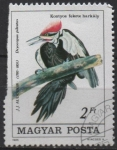 Stamps Hungary -  Pileatus d' Drocopus