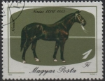 Stamps Hungary -  Caballos: Cataño oscuro
