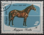 Stamps Hungary -  Caballos: Cataño Claro