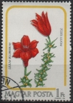 Sellos de Europa - Hungr�a -  Lilium Bulbiferum