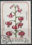 Stamps Hungary -  Lilium Martagon