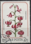 Sellos de Europa - Hungr�a -  Lilium Martagon