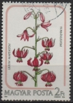 Stamps Hungary -  Lilium Martagon