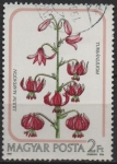 Sellos de Europa - Hungr�a -  Lilium Martagon