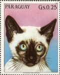 Stamps Paraguay -  Gatos