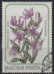 Stamps Hungary -  Erythronium dencanis